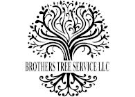 Logo for Brothers Tree Service LLC